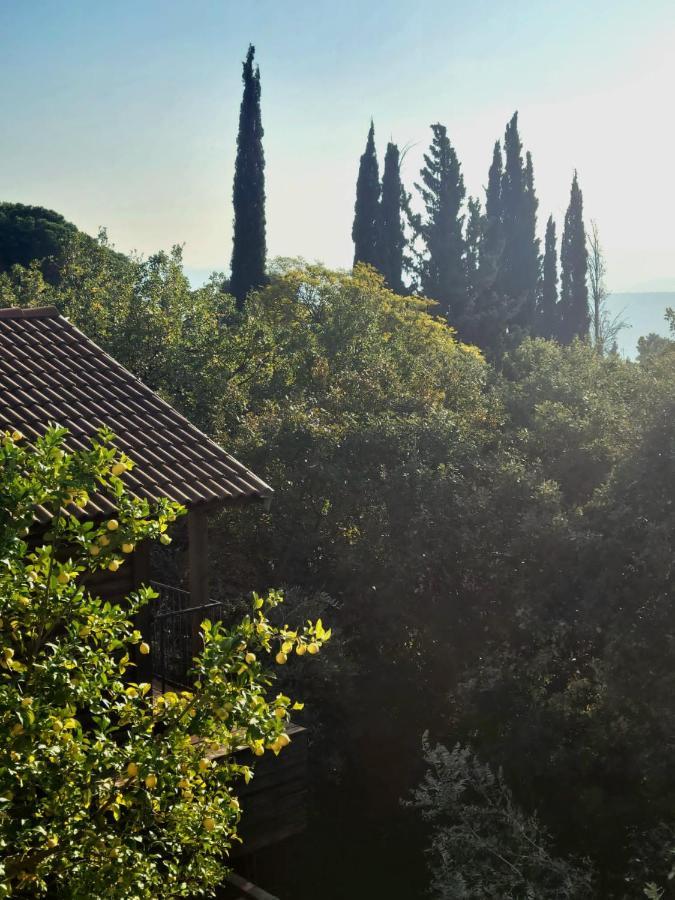 Roof Of The Galilee Villa Amirim Eksteriør bilde