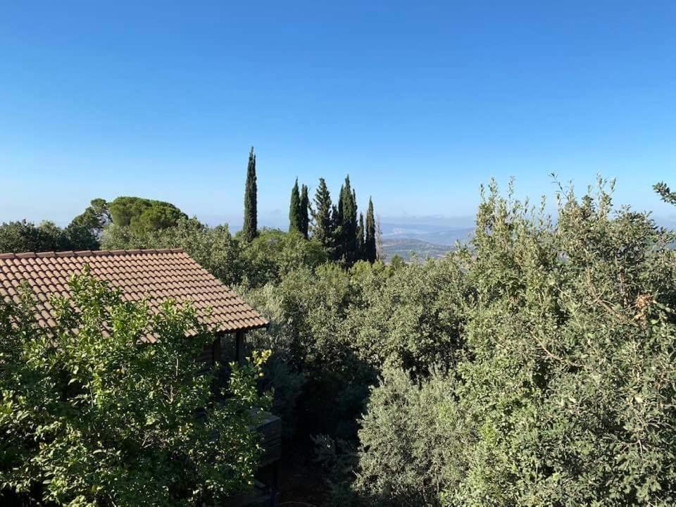 Roof Of The Galilee Villa Amirim Eksteriør bilde